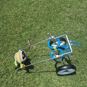 Pet Wheel Chair For Dogs Mid-size